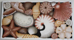 Large Seashell Board