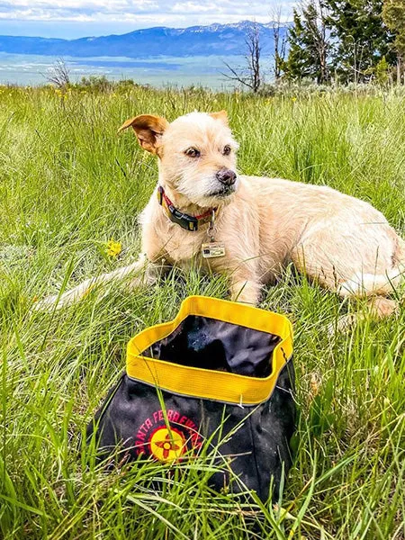 The Eco Friendly Travel Dog Bowls